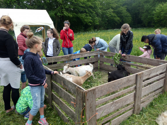 Westerparkdag 2019
