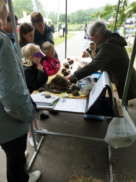 Westerparkdag 2019