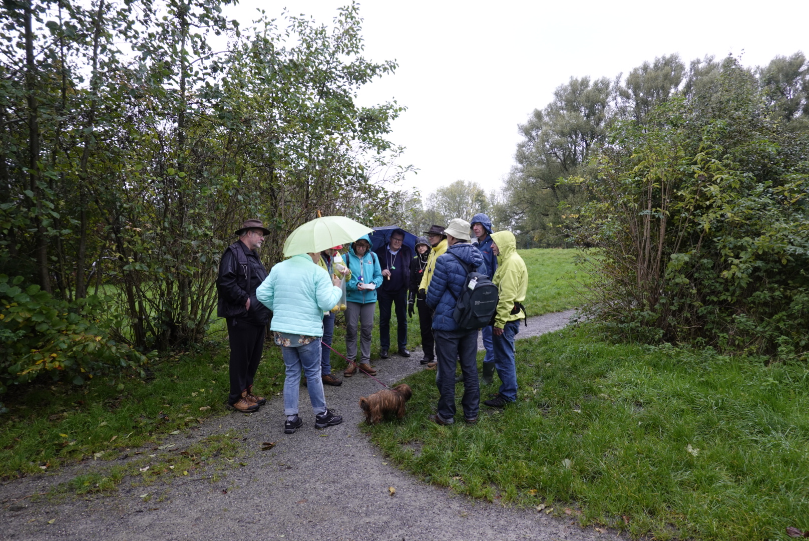 Terugblik excursie Bomen en mossen