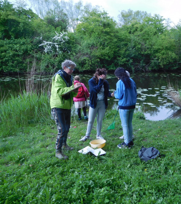 Natuurtuin Erasmuscollege