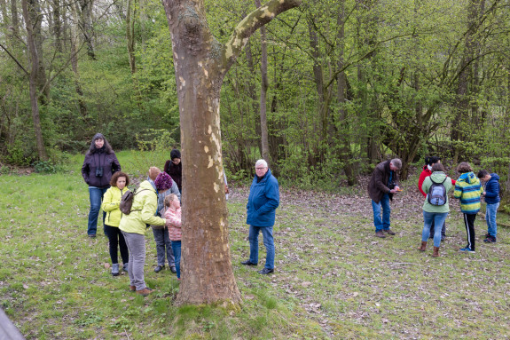 Excursie Bomen en Struiken