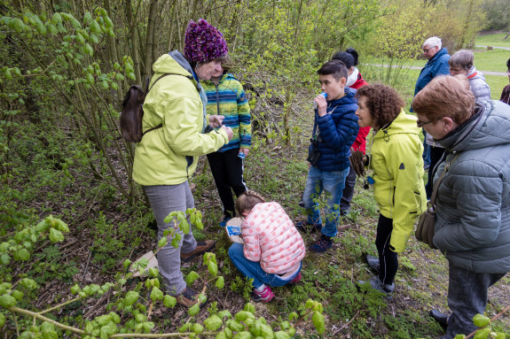 Excursie Bomen en Struiken