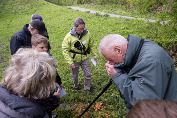 Excursie Bomen en Struiken