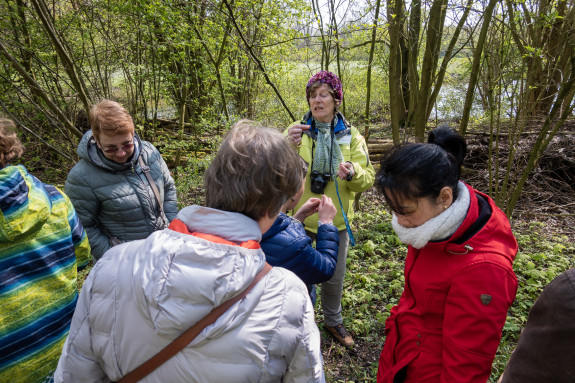 Excursie Bomen en Struiken