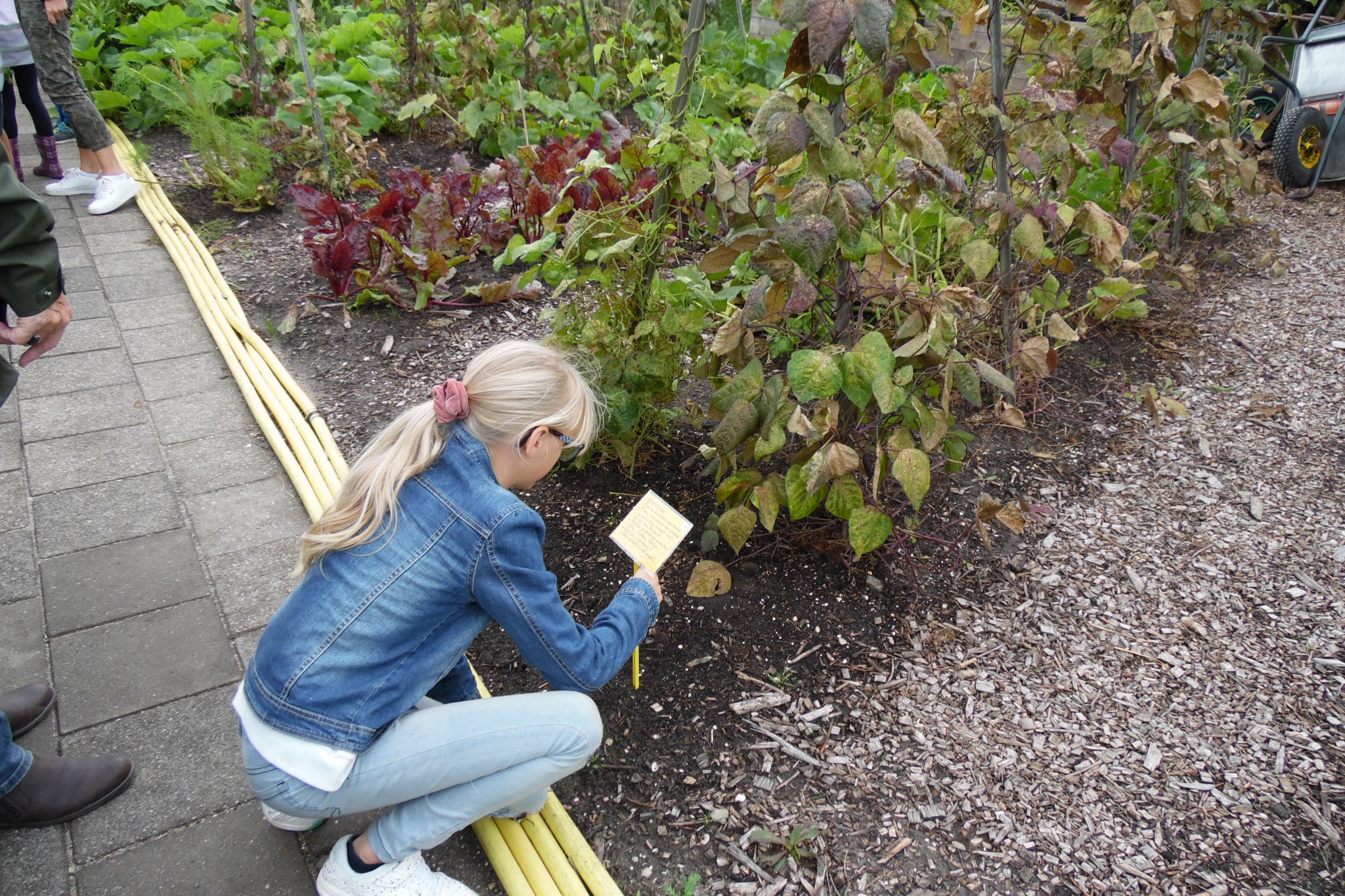 Natuur-infopad in de Hof van Seghwaert