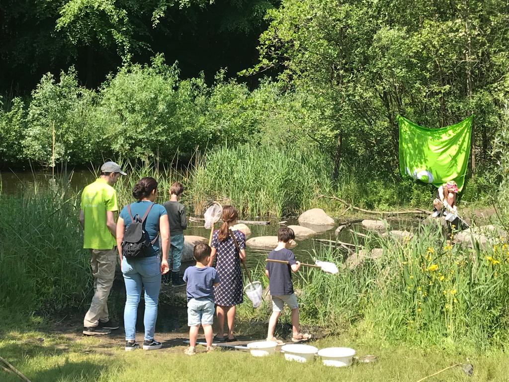 Kinderen onderzoeken met netten en bakken bij een beek in een bosrijke omgeving.