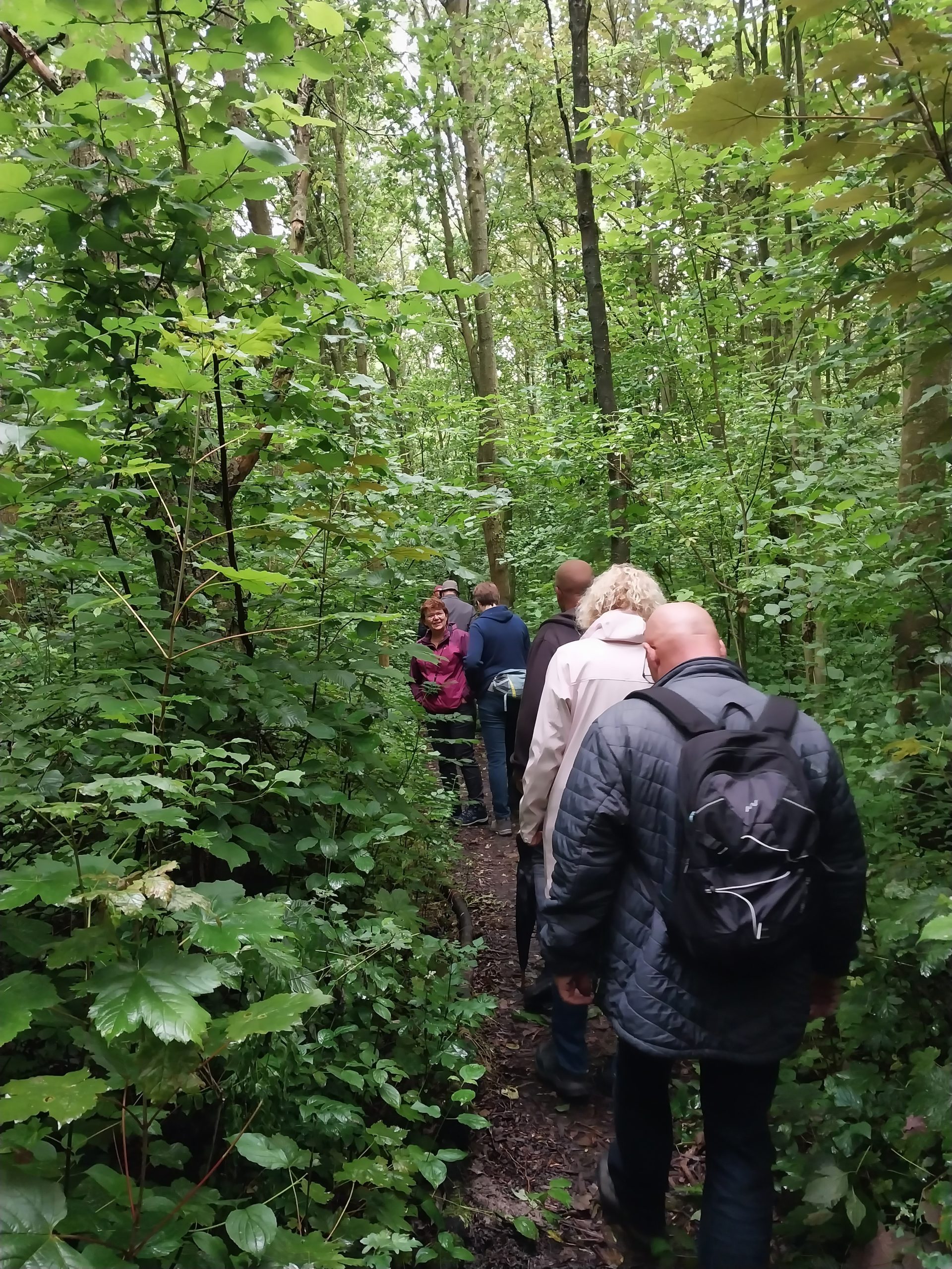 Groep mensen wandelt op een smal bospad omringd door dicht gebladerte.