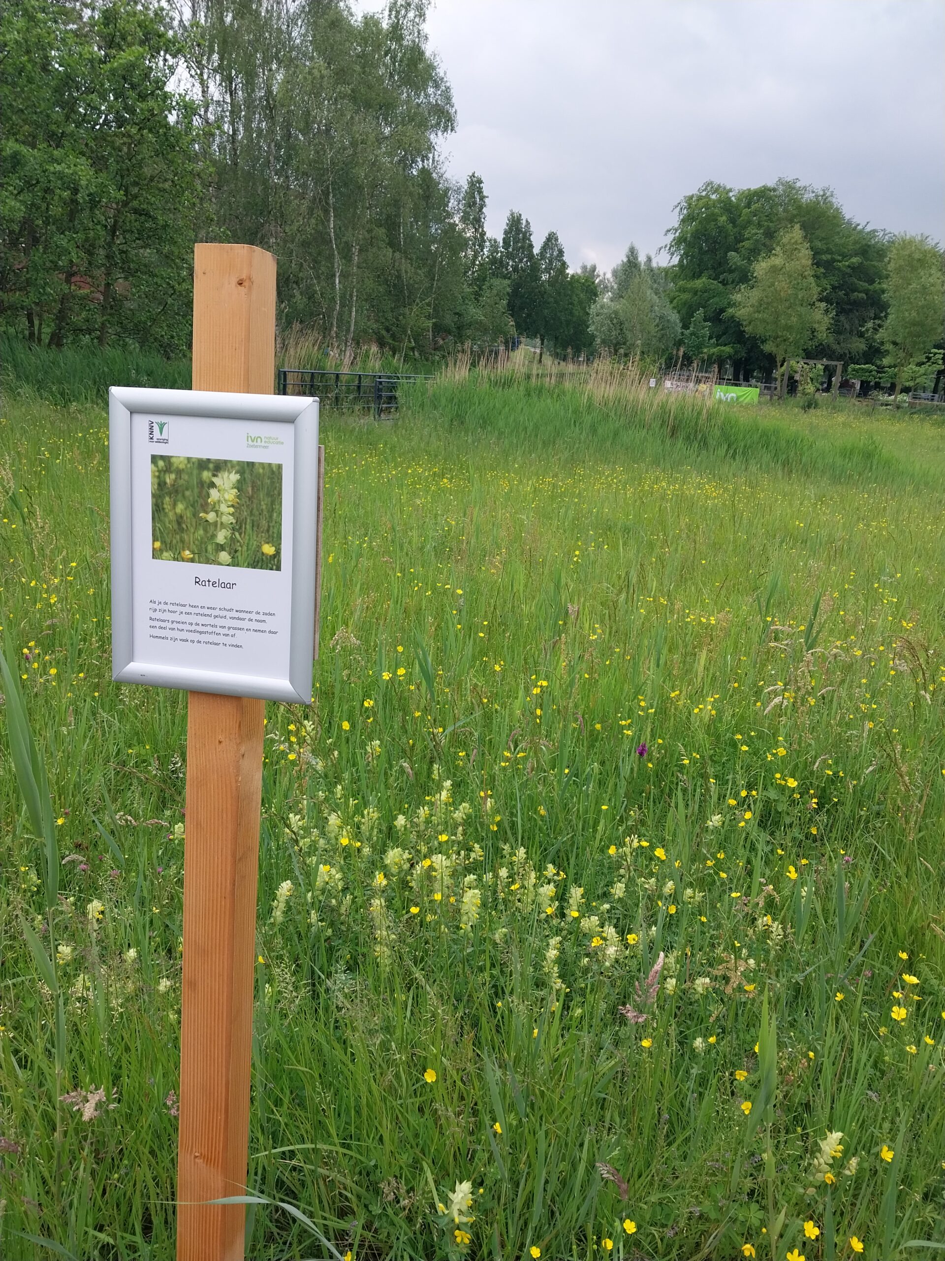 Bordje met uitleg over ratelaar in bloemenweide met bomen op de achtergrond.