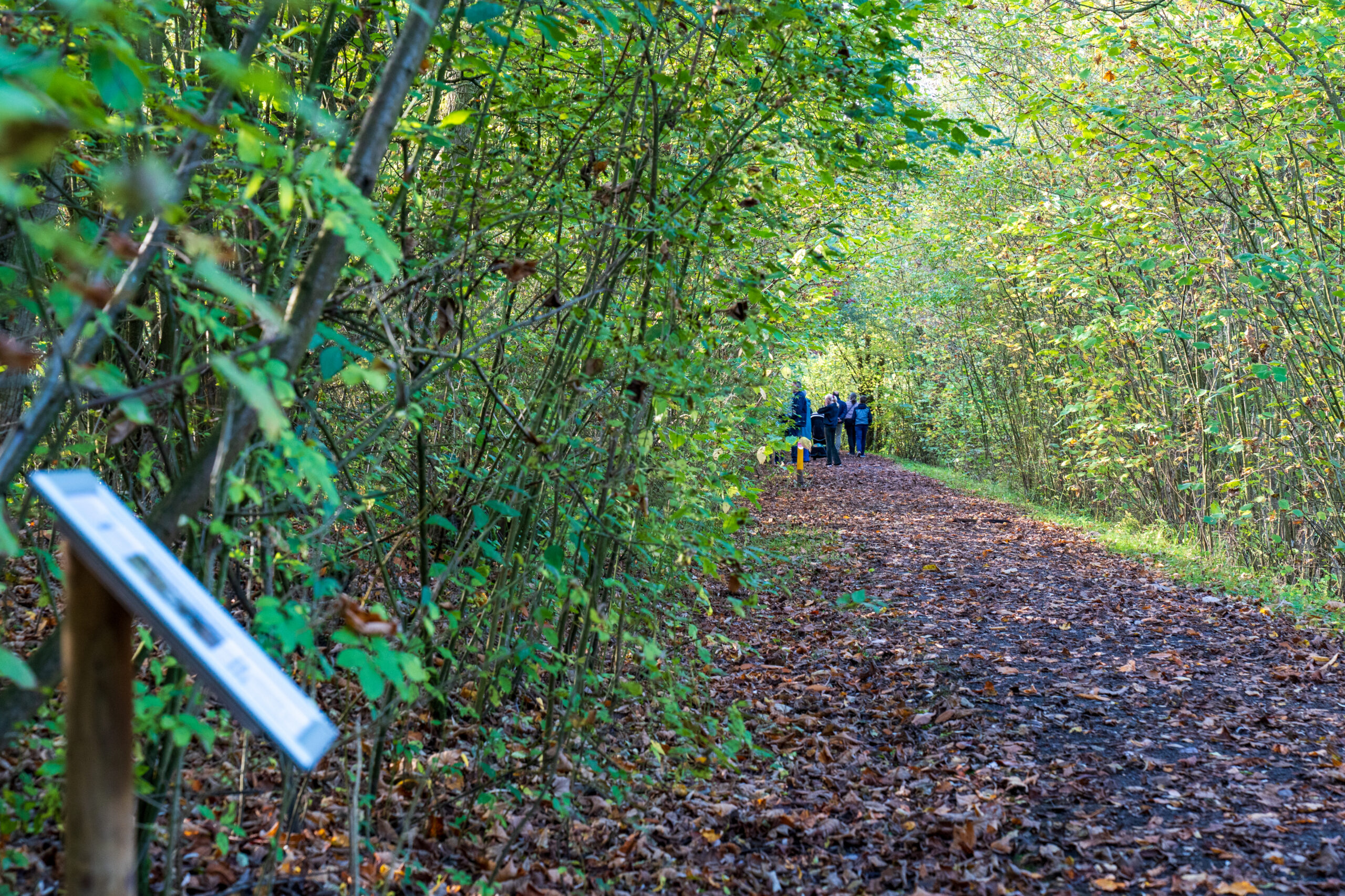 Een bosrijk pad bedekt met bladeren, wandelaars in de verte en een informatiebord links.