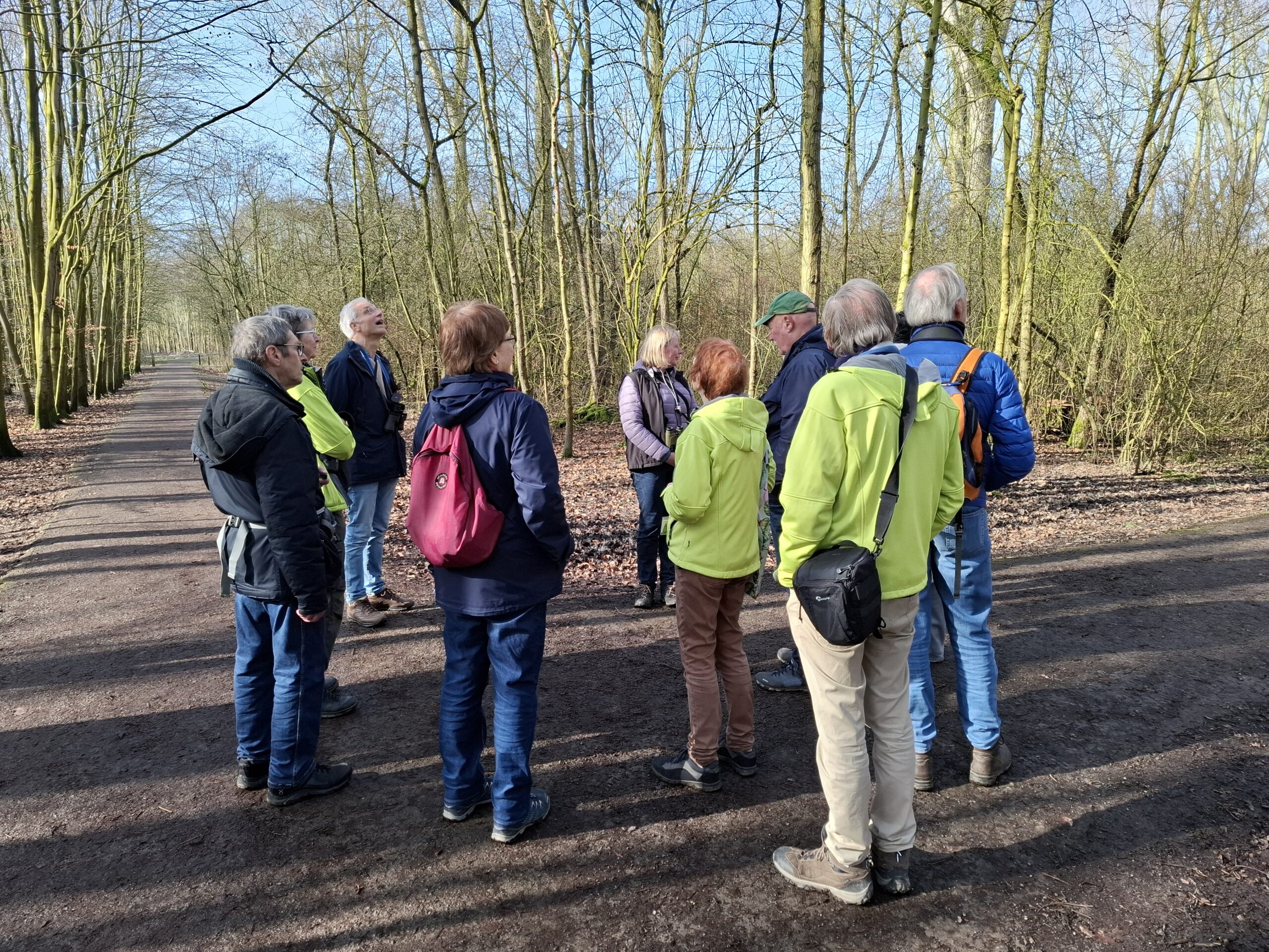 Groep mensen in een bos loopt op een pad. Ze dragen jassen en rugzakken.