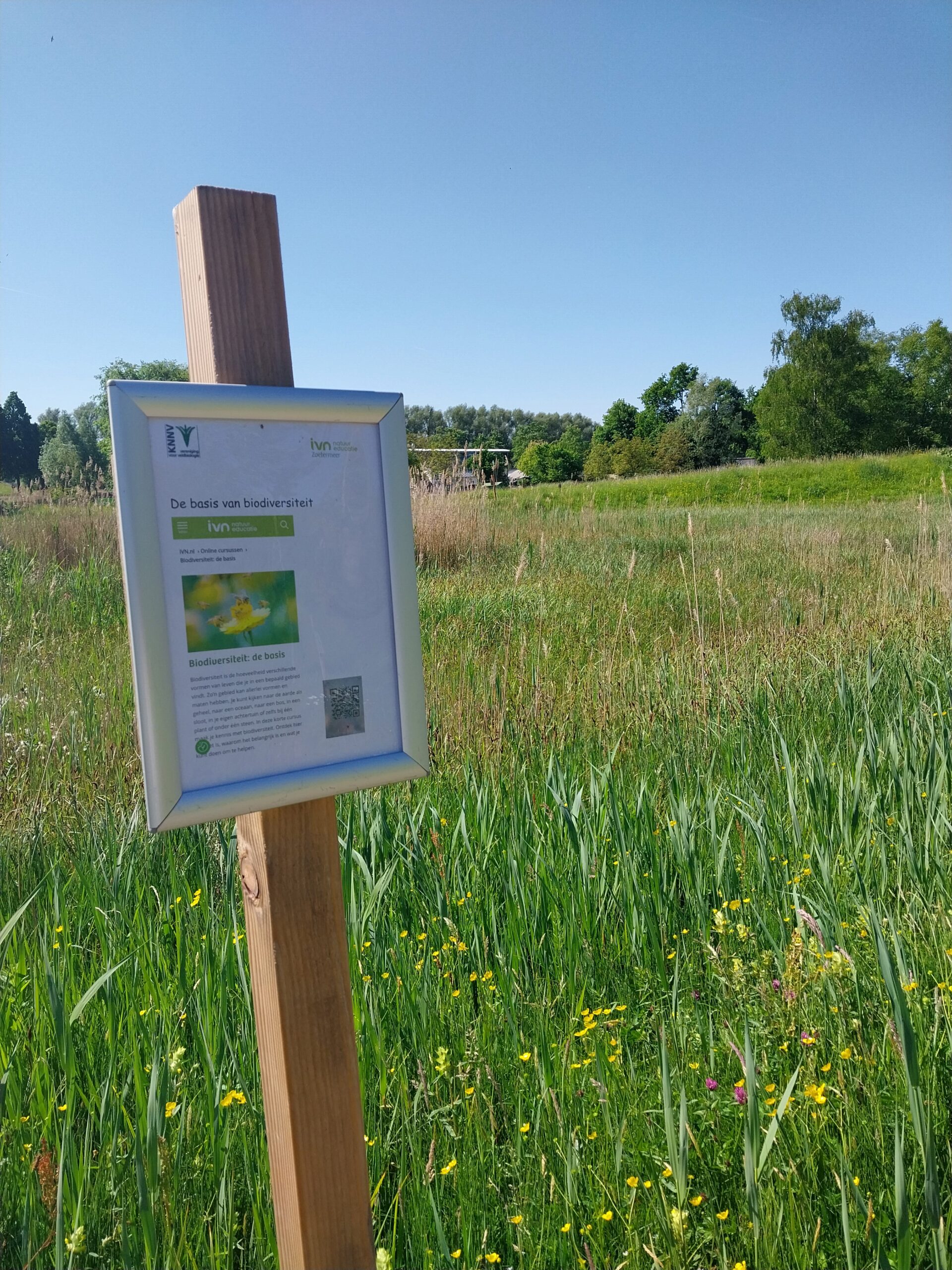 Bord in natuurgebied met tekst over biodiversiteit, omgeven door groen gras en bloemen.
