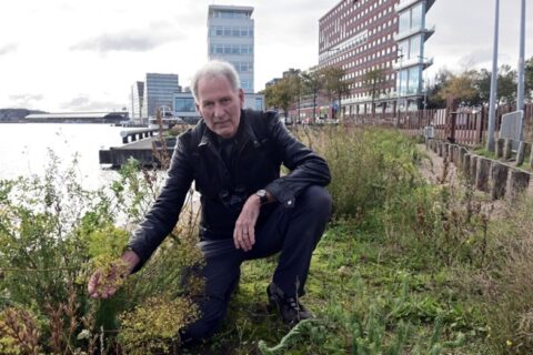 Een man hurkt op een grasveld aan het water, met moderne gebouwen op de achtergrond.