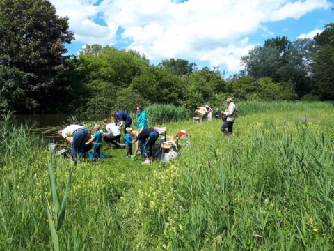 Mensen onderzoeken de oever van een vijver in een groen natuurgebied onder een blauwe hemel.