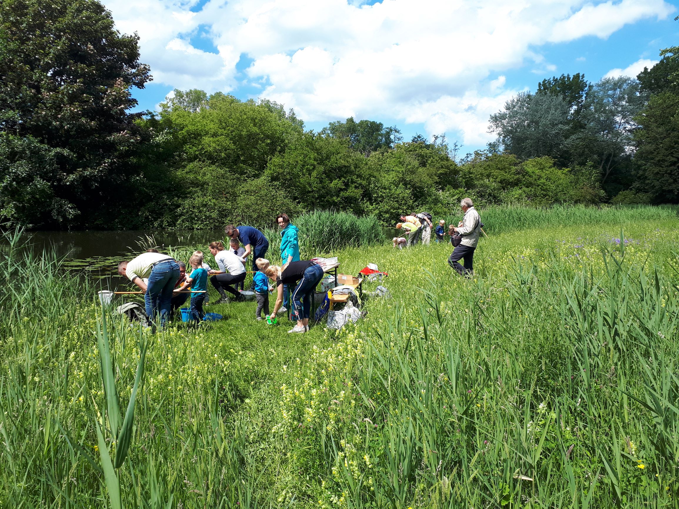 Mensen onderzoeken de oever van een vijver in een groen natuurgebied onder een blauwe hemel.