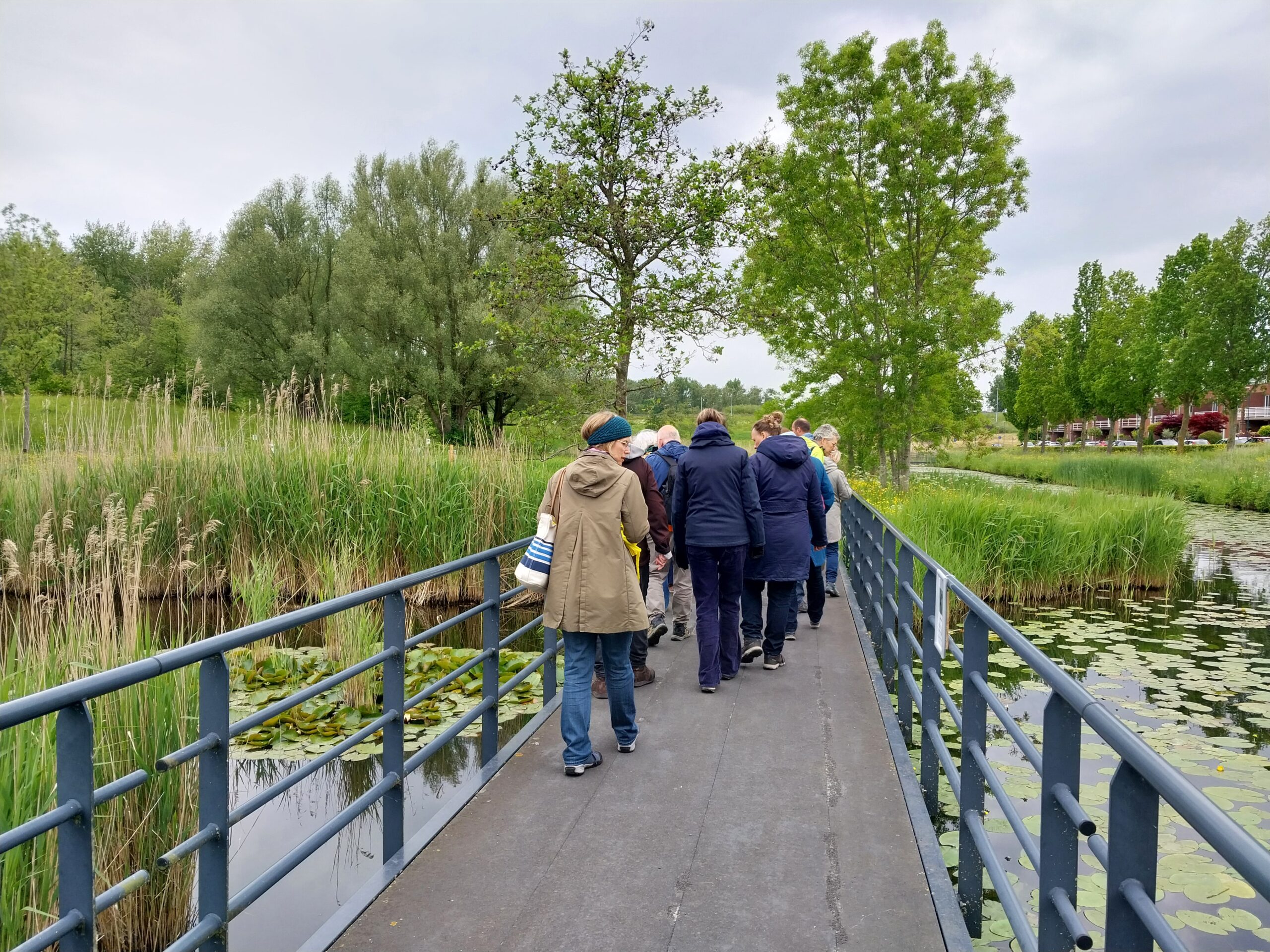 Groep mensen op een voetbrug omgeven door riet en bomen in een natuurlijke omgeving.