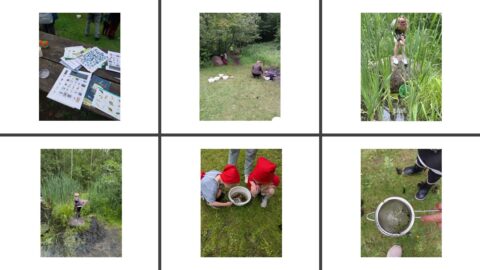 Een collage van buitenspellen en natuuractiviteiten met kinderen.