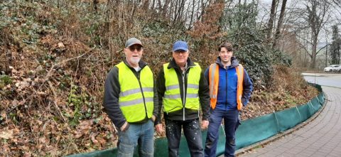 Paddenschermen opbouwen langs de Hambosweg.