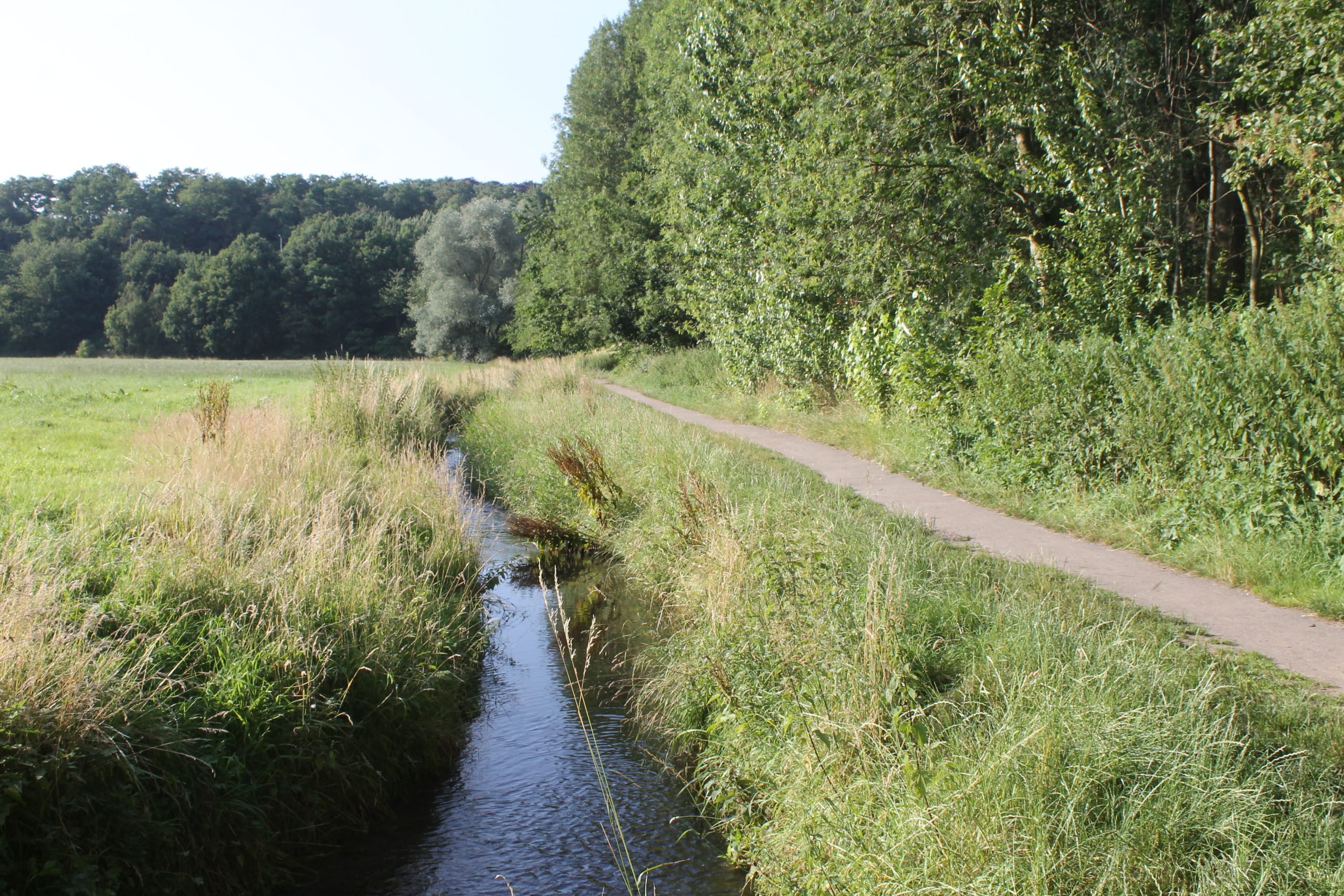 Verslag Lente-excursie Peschbeemden, 14 mei 2017.