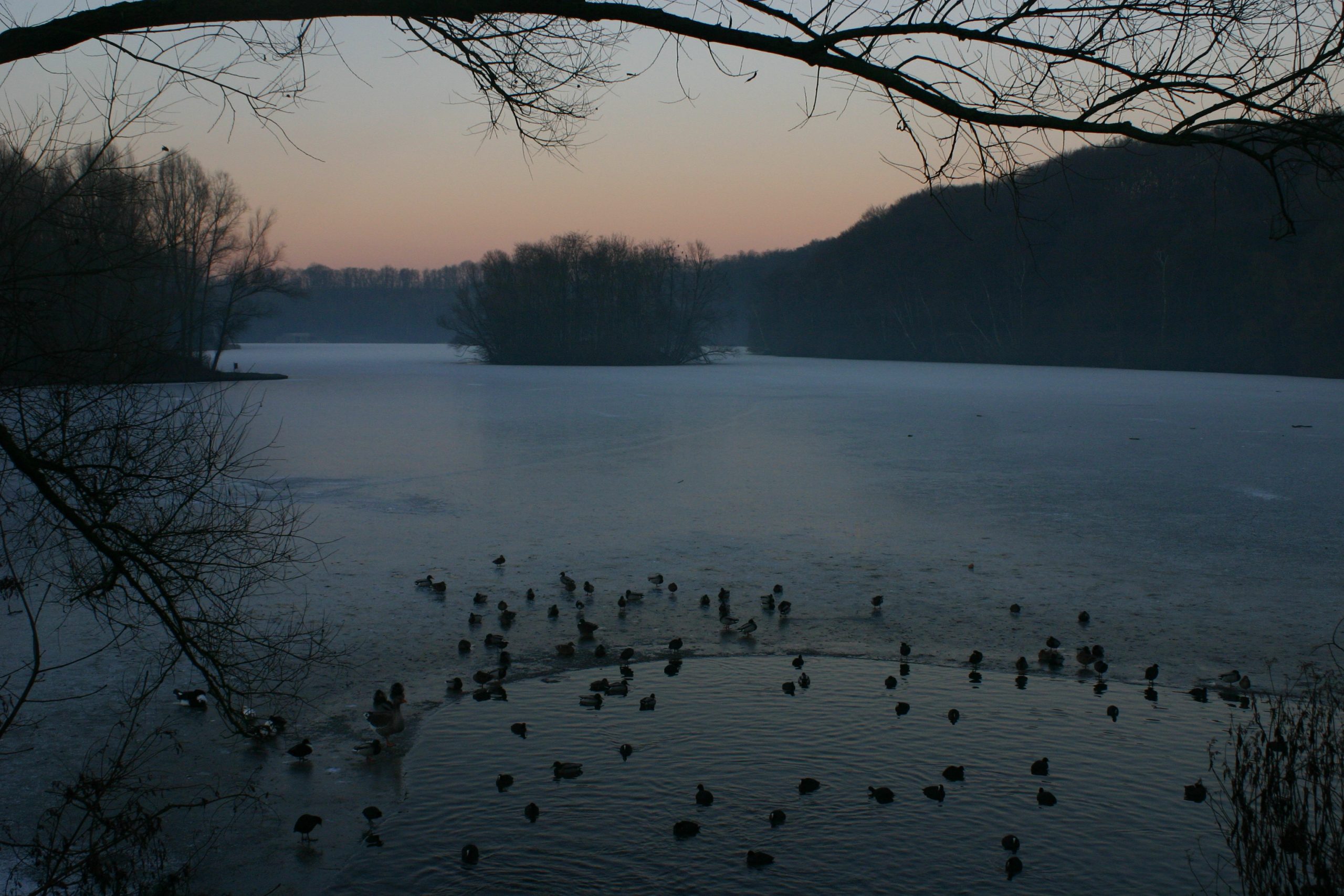 Cranenweijer (foto: Olaf Op den Kamp).