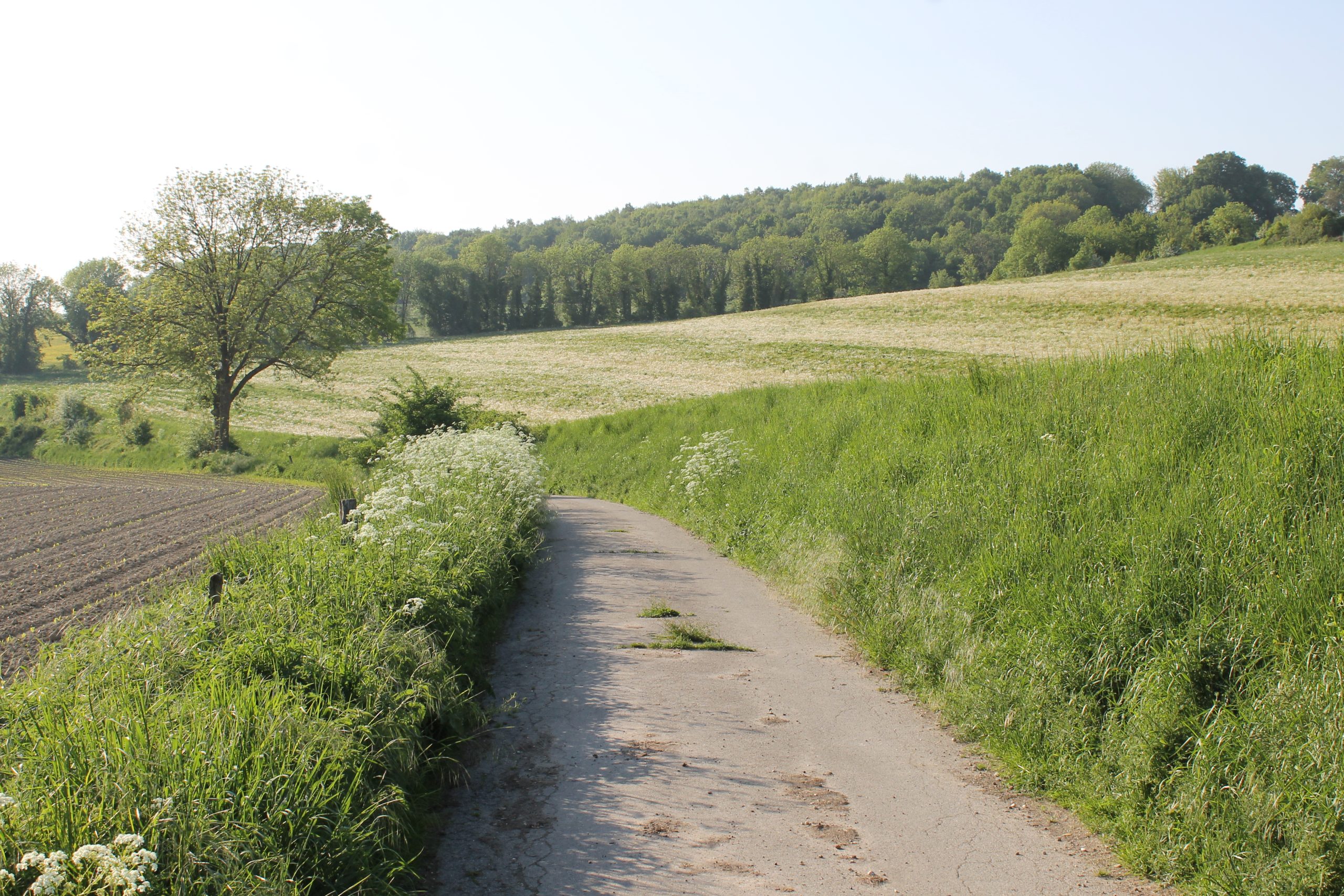 Omgeving van Orsbach (foto: Olaf Op den Kamp).