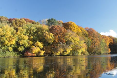 Anstelvallei (foto: Olaf Op den Kamp).