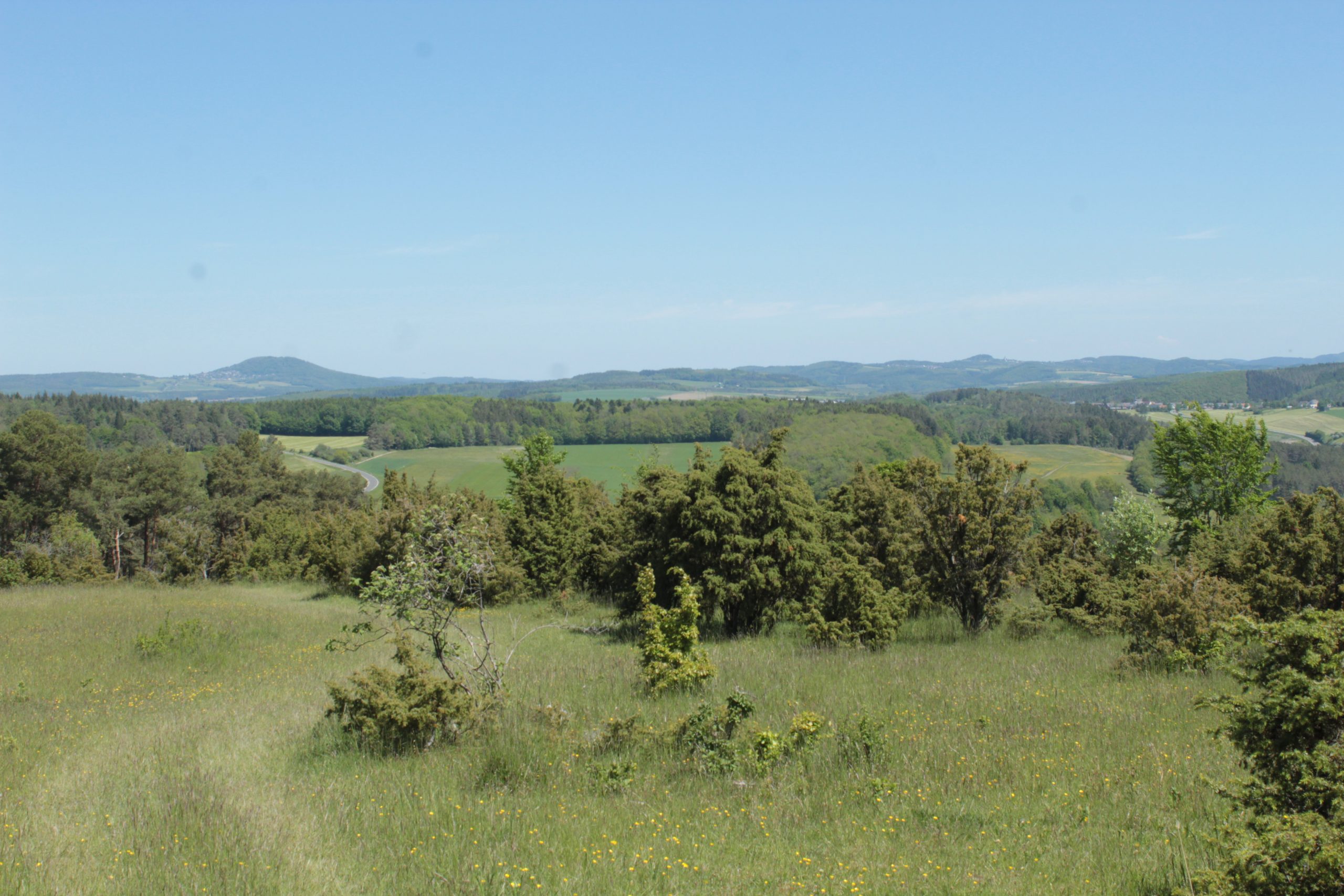 Vulkaaneifel bij Niederehe (foto: Olaf Op den Kamp).