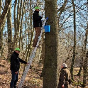 Vogelwerkgroep IVN Kerkrade