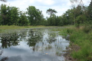 Ravenvennen (foto: Olaf Op den Kamp).