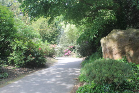 Pad door een groene tuin met bloeiende struiken; een grote steen met inscriptie links.
