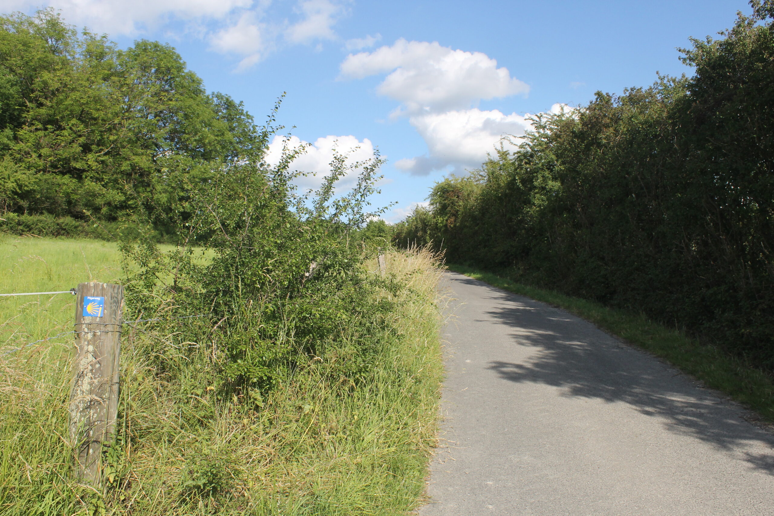 Landelijke weg omgeven door groene velden en struiken onder een blauwe hemel met wolken.