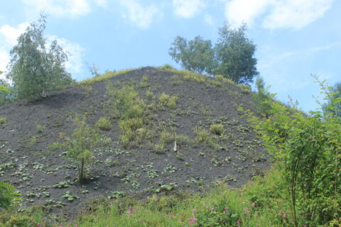 Groene heuvel met verspreide begroeiing onder een deels bewolkte blauwe lucht.