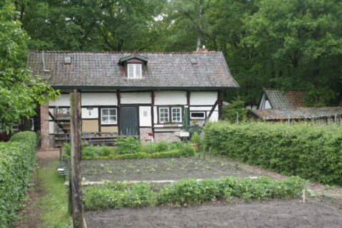 Vervallen vakwerkhuis omringd door groene tuin en moestuin met bos op de achtergrond.