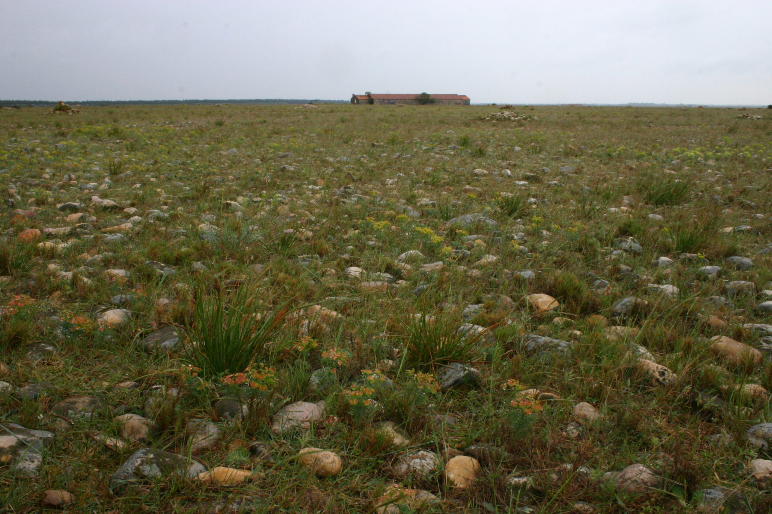 Rotsachtig grasland met een boerderij in de verte onder een grijze hemel.
