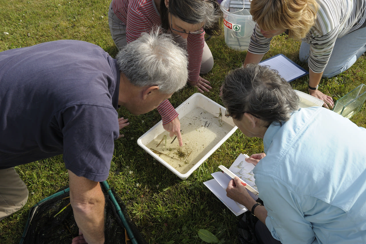 waterwerkgroep: Natuur om je heen