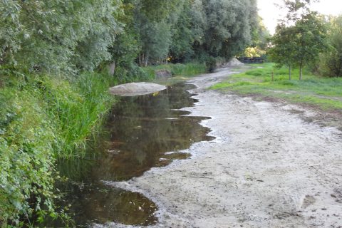 Samenwerkingsverband Gilde en IVN Laarbeek