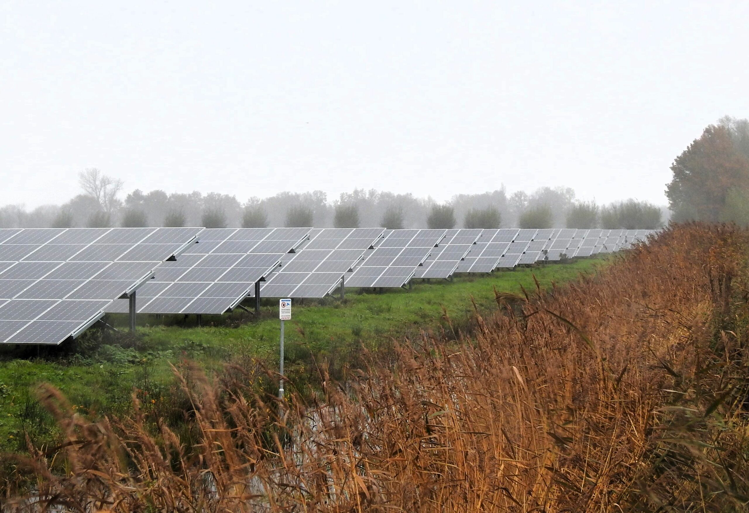 Zonnepanelenveld op een regenachtige dag, omringd door gras en riet.