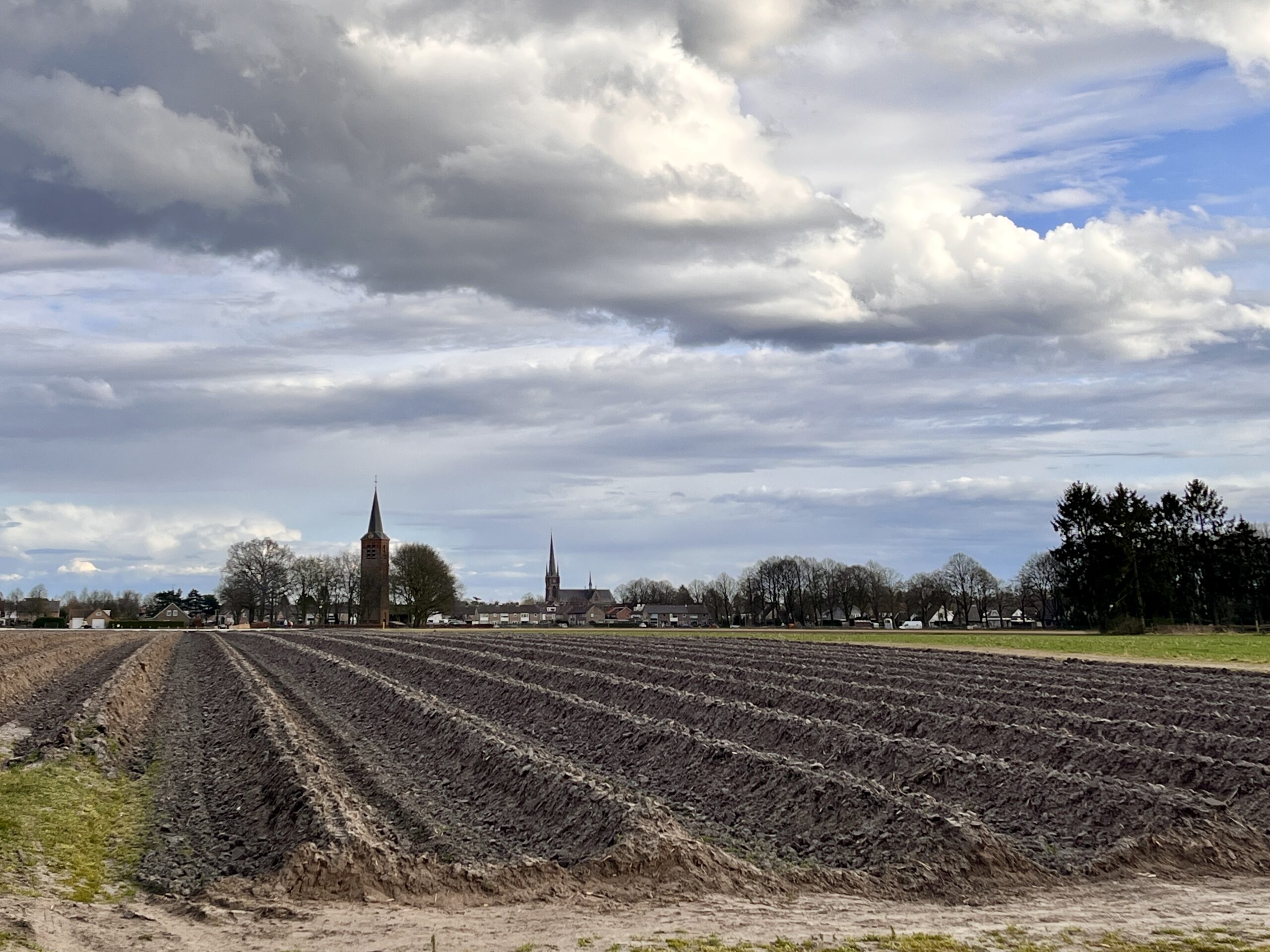 Kerktorens achter een akker onder een bewolkte hemel met bomen aan de horizon.
