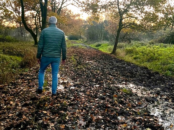 Een persoon loopt op een herfstig bospad met gevallen bladeren en natte grond.