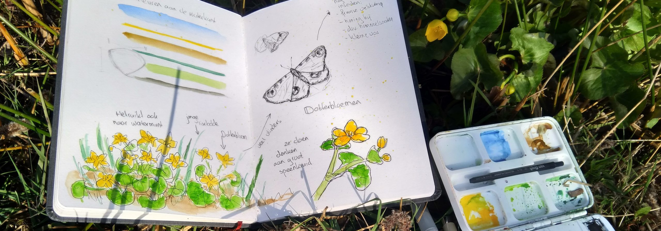 nature journaling