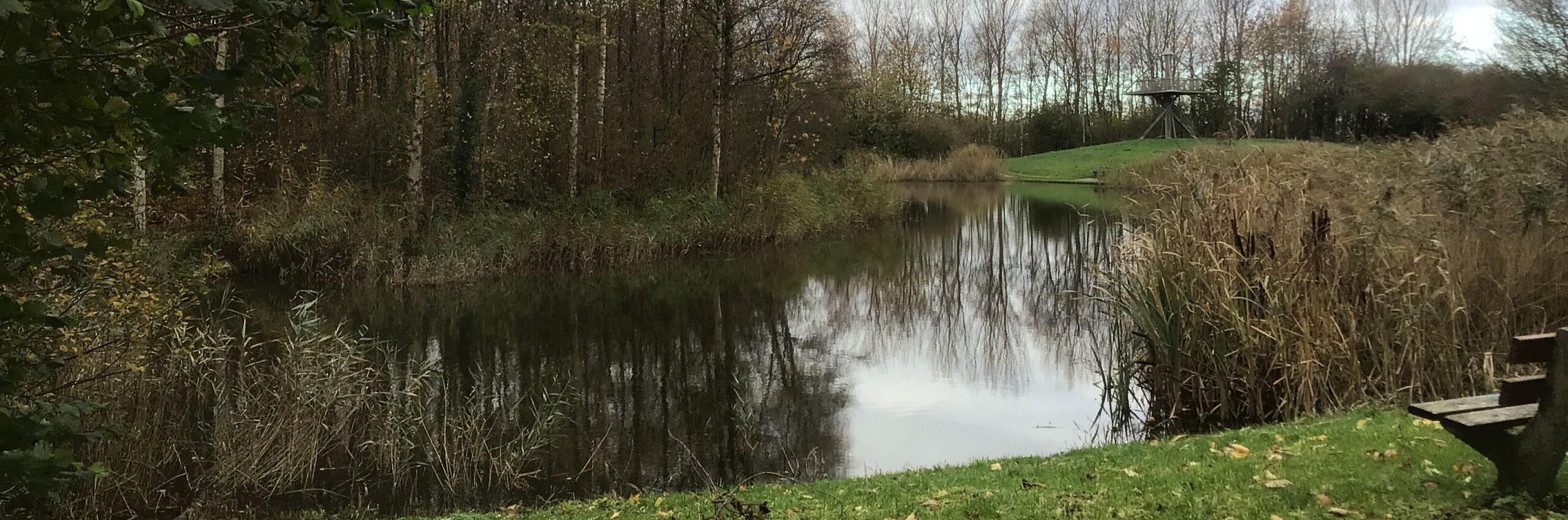 De vijver in het Hemmemapark