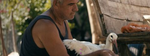 Een man verzorgt een ooievaar, omringd door natuurlijke omgeving.