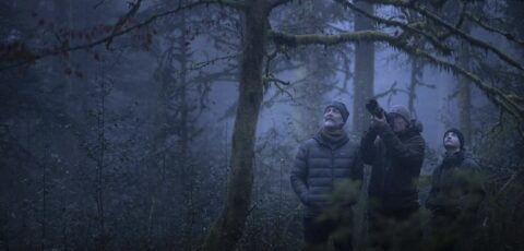 Drie mensen in een mistig bos observeren de bomen, één maakt foto's met een camera.