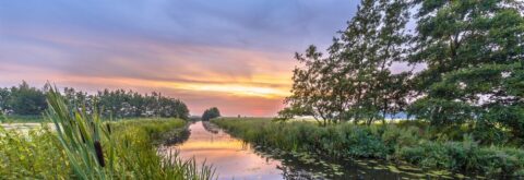 Zonsondergang boven een groene sloot met bomen en rietkragen erlangs.