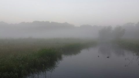 20170924_overzicht_met_mist_wh