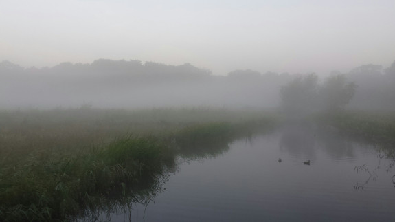 Hertenkamp3, Wassenaar