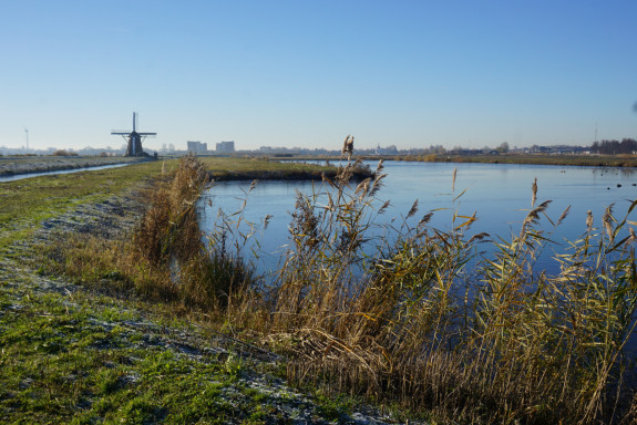 Munnikkenpolder5