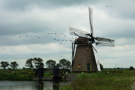 Munnikkenpolder6