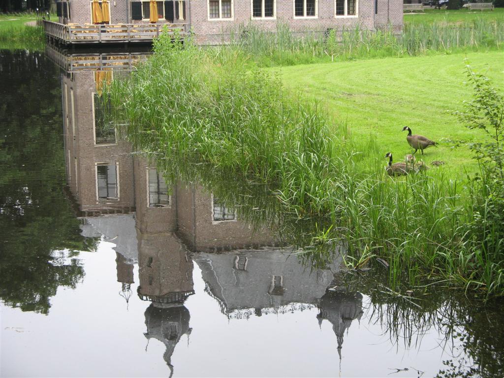 IVN wandeling op landgoed Oud Poelgeest – Oegstgeest