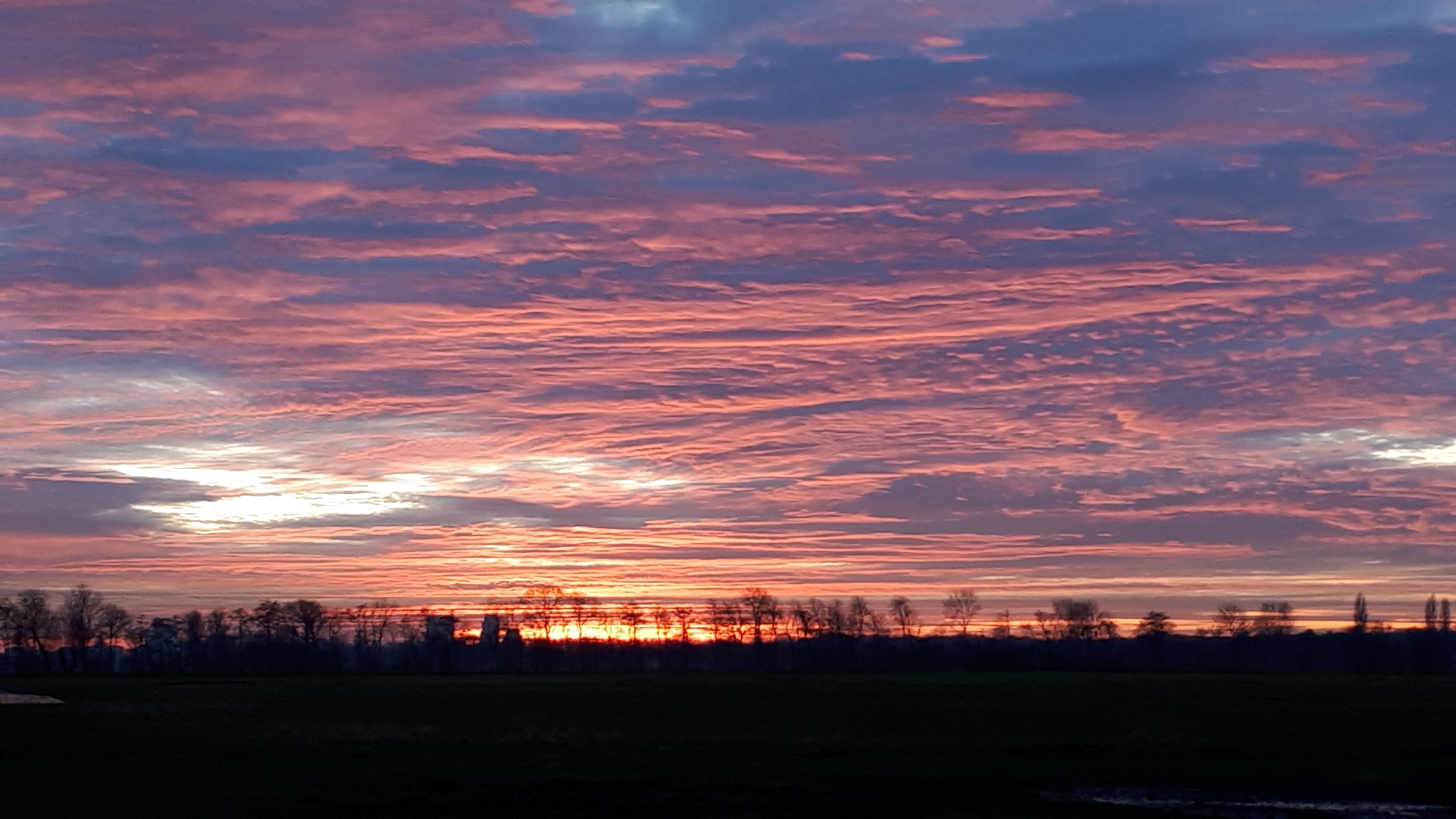 Rood-paarse zonsondergang boven een silhouet van bomen op een veld.