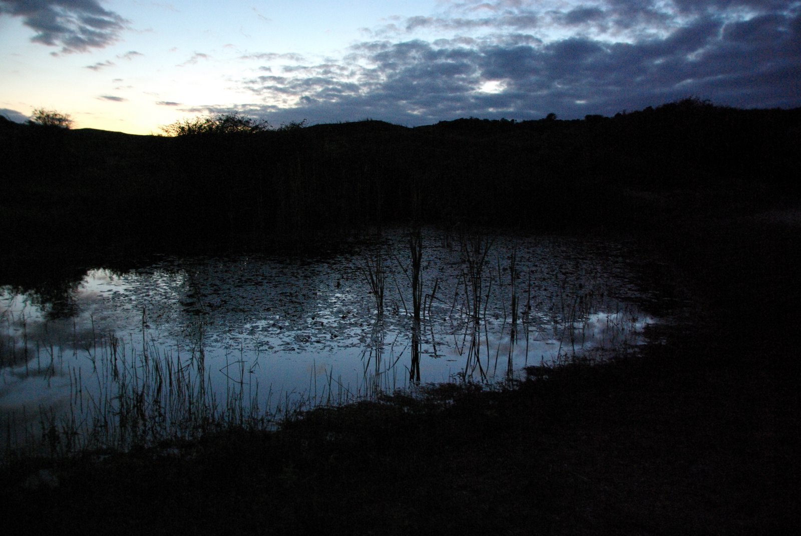 Nacht-van-de-Nacht wandeling, Voorschoten